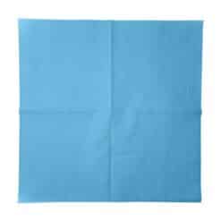 Napkin blue 24 pack
