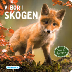 VI BOR I SKOGEN